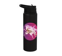 Beautiful Orchid Mantis Flower Cute Praying Mantis Insect Stainless Steel Insulated Water Bottle