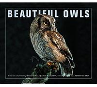 Beautiful Owls: Portraits of Arresting Species from Around the World