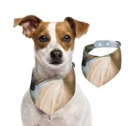 Beautiful Palomino Horse Lavender,Dog Bandanas Cotton Pet Scarf Adjustable Bibs for Pet,S