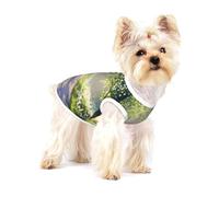 Beautiful paths in the forest Premium Dog Tshirt - Soft 100% Cotton Ropa Para Perros, Perfect for Small to Medium Dogs, Stylish and Comfortable Shirts for Dogs M