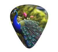 Beautiful peacock 12 Pack Guitar Picks Plectrums with Organizer Storage Box, ABS Material Picks for Acoustic & Electric Guitar, 3 Thickness Options