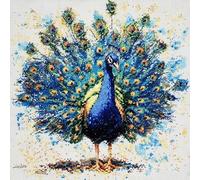 Beautiful Peacock Cross Stitch Kits - Counted Cross Stitch Kits for Beginners Adults,11 CT Patterns Dimensions Embroidery Kits Arts Craft Kits, Home Decor 15.7 x 15.7in,40x40cm（3） A