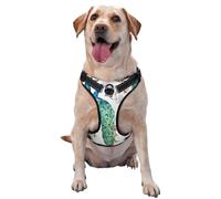 Beautiful Peacock Flowers Print,Pet Harness,Adjustable Reflective Dog Harness,Pet Leash Vest,XL