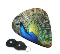 Beautiful peacock Guitar Plectrums, 6 Guitar Plectrums, Printed on both sides for Electric Guitar Bass Ukulele (0.46 mm 0.71 mm 0.96 mm)