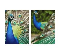 Beautiful Peacock Passport Holder Waterproof Travel Wallet Passport Cover PU Leather Passports Protector With Card Slots