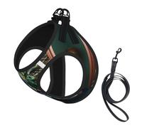 Beautiful Peacock Picture Print Dog Harness with Leash Set with Thickened Padded Vest for Extra-Small/Small Medium Dogs