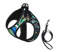 Beautiful Peacock Print Dog Harness with Leash Set with Thickened Padded Vest for Extra-Small/Small Medium Dogs