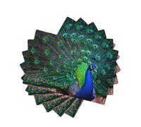 Beautiful peacock Style Linen-Look Placemats Set of 6 PCS, 45x30cm Heat Resistant Double Layer Washable Table Mats for Dining Table, Daily Meals & Outdoor Picnic