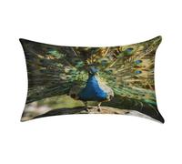 Beautiful Peacock with Colorful Feathers Pillowcase,Elegant Designed Home Decor,Velvet Pillowcase,Soft and Cozy,Pillow Case Cover with Hidden Zipper for Bedroom, Sofa, Couch