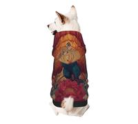 Beautiful Phoenix Dog Hoodie for Small, Soft Breathable, Pet Clothes for Small