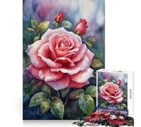 Beautiful Pink Rose Flower Adults 1000 Pieces Puzzle Reasoning Practice Easy Enjoyment Premium Edges Lovely Gift (50x75cm)