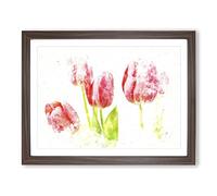 Beautiful Pink Tulips Watercolour Modern Framed Print | A3 Walnut Framed Wall Art | Ready to Hang | Modern Historical Picture | Living Room Bedroom Lounge Office