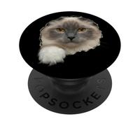 Beautiful Ragdoll Cat Amber Eyes Peeking Through PopSockets Adhesive PopGrip