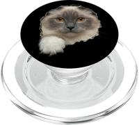 Beautiful Ragdoll Cat Amber Eyes Peeking Through PopSockets PopGrip for MagSafe