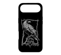 Beautiful Raven Black Crow Wicca Pagan frame Gothic Folklore Case for iPhone Air