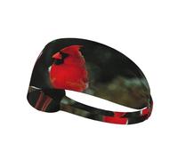 Beautiful Red Birds Print Non-Slip Elastic Running Headband, Sweat Absorbing Stretchy Hair Bands For Gym Yoga, Soft Skin-Friendly Foldable Workout Headband