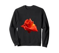 Beautiful Red Rose Isolated Photograph Cut Out Sweatshirt