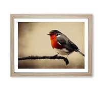 Beautiful Robin Bird H1022 Framed Print for Living Room Bedroom Home Office Décor, Wall Art Picture Ready to Hang, Oak A2 Frame (64 x 46 cm)
