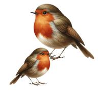 Beautiful Robin Bird Vinyl Sticker Decals, Cover up Marks, Multi-Purpose Decor Ideal for Toilet, Wall, Laptop, Phone, Cup & More. Weatherproof & Vibrant Home and Garden Stickers, 9 Total Robins