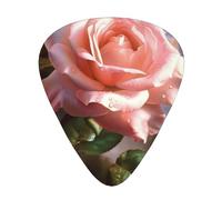 Beautiful rose painting Printed Guitar Picks 12-Piece Set - Comfortable, Versatile Plectrum for All Guitar Styles & Players