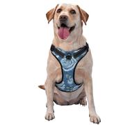 Beautiful Roses on Blue Background X-Large Printed pet Traction Vest for Pets to wear When Walking The Dog or Climbing Mountains