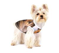 Beautiful Rough Collie,Cotton Sleeveless Pet T-Shirt Soft Stretchy Puppy Breathable Vest,M