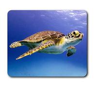 Beautiful Sea Turtle Ocean Nature Scuba Diving Swimming Mouse Mat Pad Computer PC Laptop Gaming Office Home Desk Accessory Gadget 2051