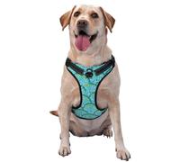 Beautiful Seashells Pattern Dog Harness - Lightweight,Soft,Adjustable Small Harness and Leash Set, Suitable for Puppy Small and Medium-Sized Dog-Small