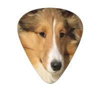 Beautiful Sheltie Breed Dog,12 Pcs Guitar Pick,3 Different Thickness Plectrums for Acoustic Guitar Bass Ukulele (0.46mm 0.96mm 0.71mm)