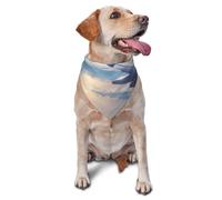 Beautiful Sky Airplane Dog Bandana Pet Scarf Accessories for Small Medium Dogs Cats Photo Prop, Triangle Pet Bandanas Adjustable Puppy Bib Washable Dog Kerchief Puppy Neckerchief