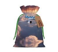 Beautiful Sky Airplane Print Small Drawstring Pouch For Gifts,Reusable Gift Bag,For Holiday And Party Presents
