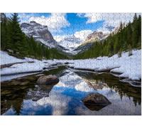 Beautiful Spring Hike to Dream Lake Rocky Mountain National Park Estes Puzzles for Adults, Impossible Hard Difficult Challenging Jigsaw_1000pcs