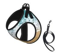 Beautiful Starfish On Beach Sand Print Harness Leash Set For Cats And Dogs, Reflective Adjustable, Soft Breathable Mesh Vest With Escape-Proof Lead, For Small Pets And Kitten Puppies