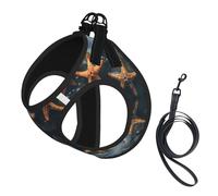 Beautiful Starfish Print Pet Leash Vest Soft Adjustable Puppy Vest for Walking Outdoor with Leash