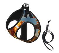 Beautiful Sunflower Print Dog Harness with Leash Set with Thickened Padded Vest for Extra-Small/Small Medium Dogs