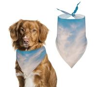 Beautiful Sunset on The Sea at Dusk Dog Bandanas Puppy Cat Kerchief Scarf Pet Triangle Bandana for Christmas
