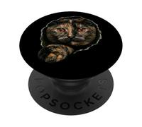 Beautiful Tortoiseshell Cat Amber Eyes Peeking Through PopSockets Adhesive PopGrip