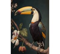 Beautiful Toucan Art Birthday Card - Large A5