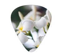 Beautiful White Frangipani Wake Plumeria Flowers,12 Pcs Guitar Pick,3 Different Thickness Plectrums for Acoustic Guitar Bass Ukulele (0.46mm 0.96mm 0.71mm)