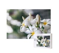 Beautiful White Frangipani Wake Plumeria Flowers,300 Pieces Wooden Jigsaw Family Game Jigsaw Puzzles for Adults Teens Home Decor