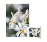 Beautiful White Frangipani Wake Plumeria Flowers,300 Pieces Wooden Jigsaw Family Game Jigsaw Puzzles for Adults Teens