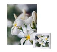 Beautiful White Frangipani Wake Plumeria Flowers,500 Pieces Wooden Jigsaw Family Game Jigsaw Puzzles for Adults Teens
