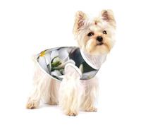 Beautiful White Frangipani Wake Plumeria Flowers,Cotton Sleeveless Pet T-Shirt Soft Stretchy Puppy Breathable Vest,S