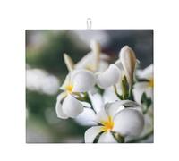 Beautiful White Frangipani Wake Plumeria Flowers, Dish Drying Mat, 18x16 Inch Absorbent Microfiber Quick Dry Machine Washable for Dishes Pots Pans Glassware Coffee Bar Under Rack