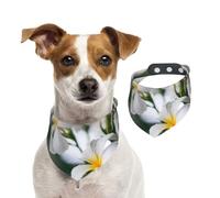Beautiful White Frangipani Wake Plumeria Flowers,Dog Bandanas Cotton Pet Scarf Adjustable Bibs for Pet,M