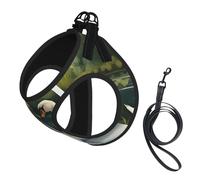 Beautiful White Swans On The Lake Print Pet Leash Vest Reflective Adjustable Soft Mesh Vest Breathable For Daily Walks