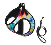 Beautiful World Rainbow Tribe Print Pet Leash Vest,Breathable Mesh Pet Harness, Reflective For Small Medium Dogs Safe Easy Walking