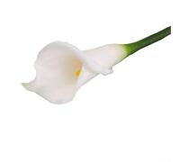 Beautifully Crafted Artificial Calla Lily Bundle, Lifelike Lilies in White and Yellow Colors, Detachable Heads (white)