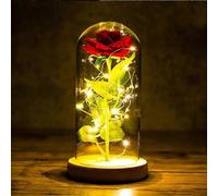 Beauty And The Beast Rose Eternal Rose In Glass Rose In Glass Dome Artificial Flowers Roses