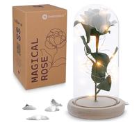 Beauty and the Beast Rose Gifts for Women - Beauty and the Beast Gifts - Light Up Roses, Rose in Glass Dome - Beauty and the Beast Decor for Library - Beauty and the Beast Party Decorations (White)